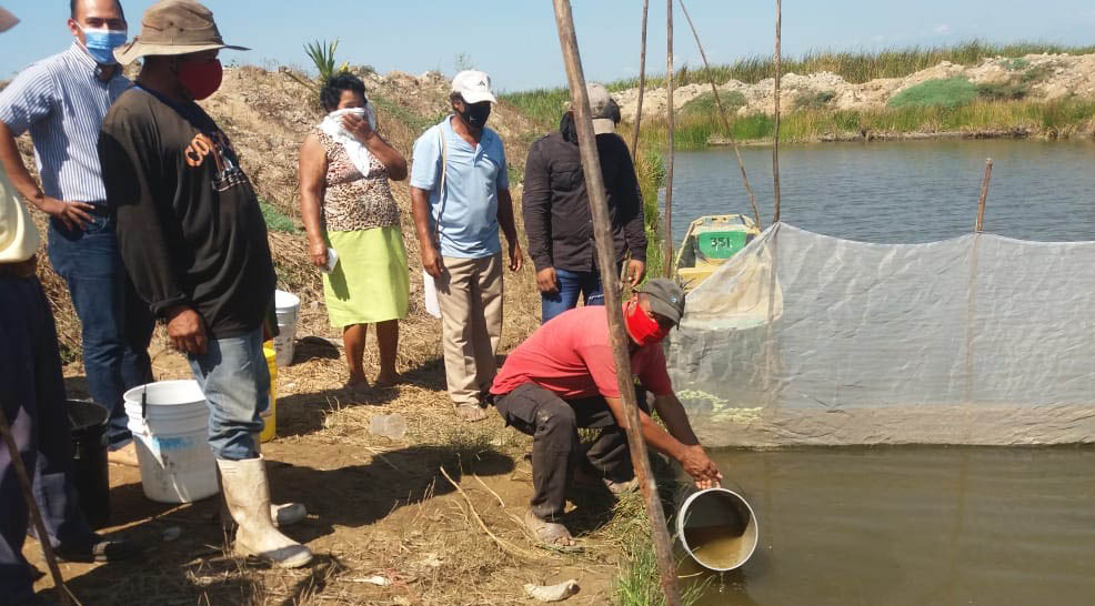 Impulso a la pesca y la acuacultura en Chiapas