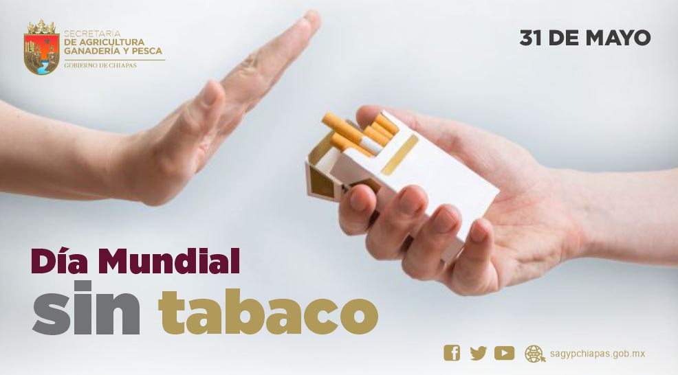 La celebracin del Da Mundial sin Tabaco tiene el