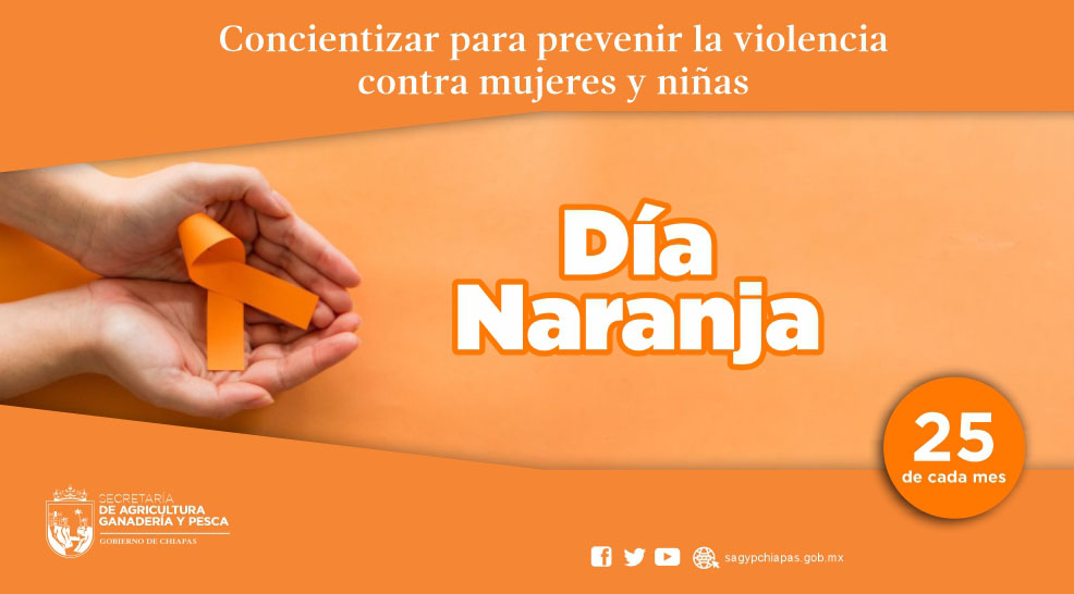 Hoy es Da Naranja, una conmemoracin para erradi