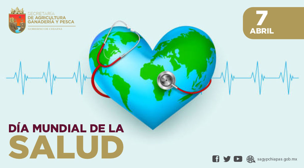 Hoy conmemoramos el Da Mundial de la Salud. Todo 