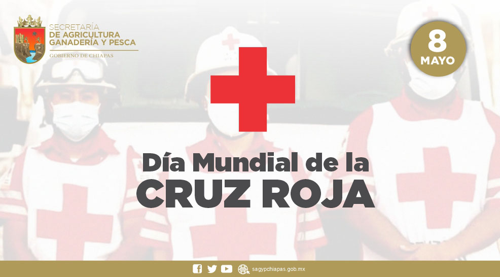 Hoy es el Da Mundial de la Cruz Roja y desde la #
