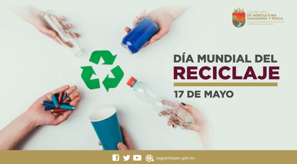 Hoy es el Da Mundial de Reciclaje, un da para re