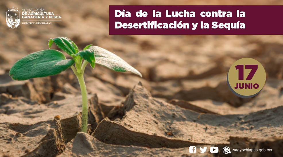 El Da de la Lucha Contra la Desertificacin y la 