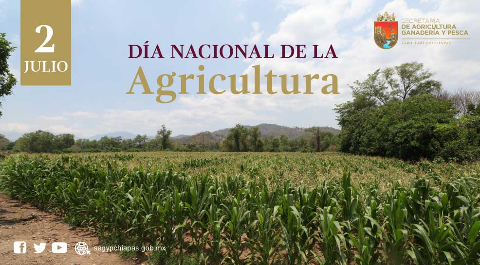 En el marco del Da Nacional de la Agricultura, re