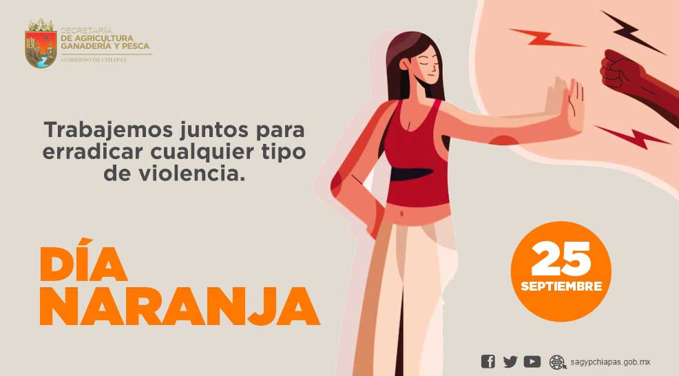 Cada 25 del mes conmemoramos el #DaNaranja Ӿ