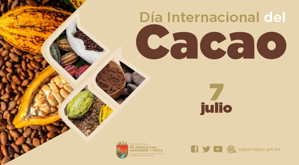 En el Da Internacional del Cacao destacamos este 