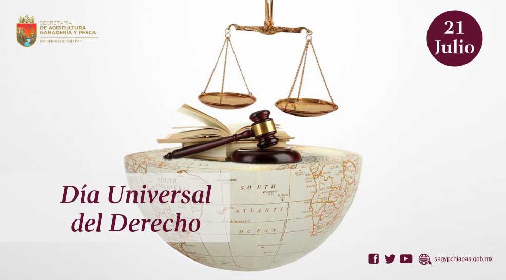 Hoy en el Da Universal del Derecho, recordemos qu