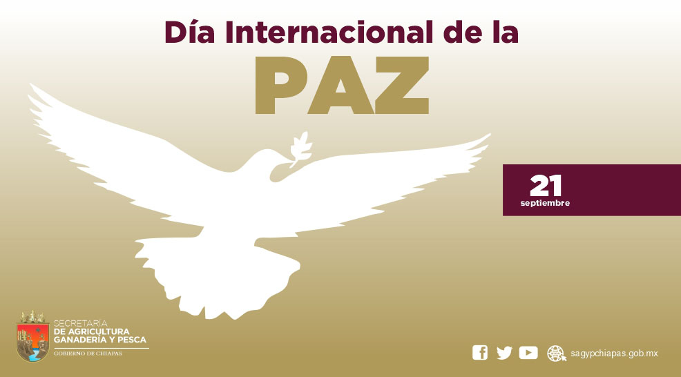 Feliz Da Internacional de la Paz! Hoy unimos nue