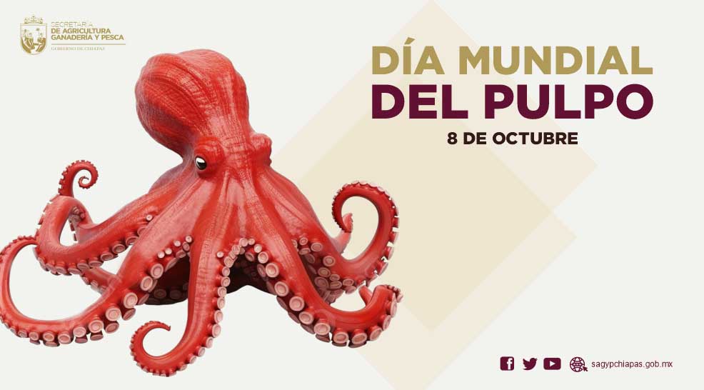 Hoy Da Mundial del Pulpo celebramos a estos int