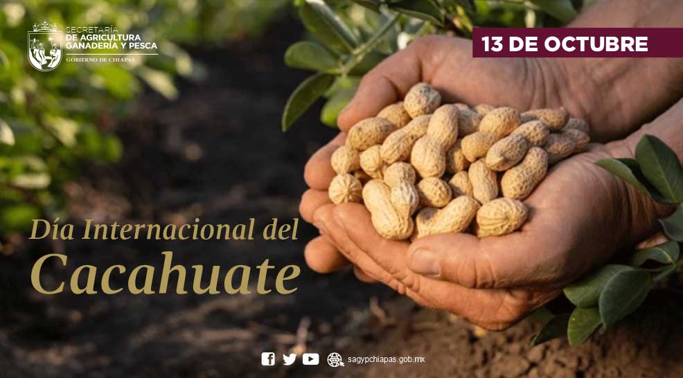 El Da Internacional del Cacahuate, nos recuerda l