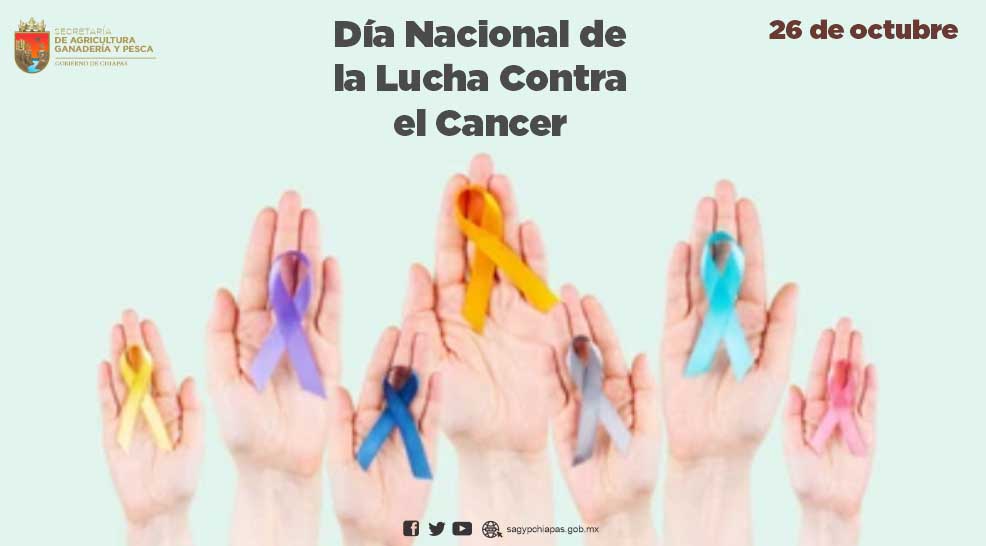 Hoy es el Da Nacional de Lucha contra el Cncer. 